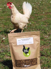 Vers de farine pour les poules : comment les élever  Vers de farine,  Poulets d'élevage, Alimentation poule